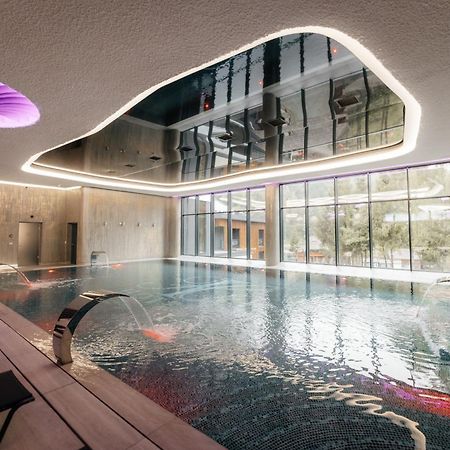 Hotel Ivascu 莫伊塞 外观 照片