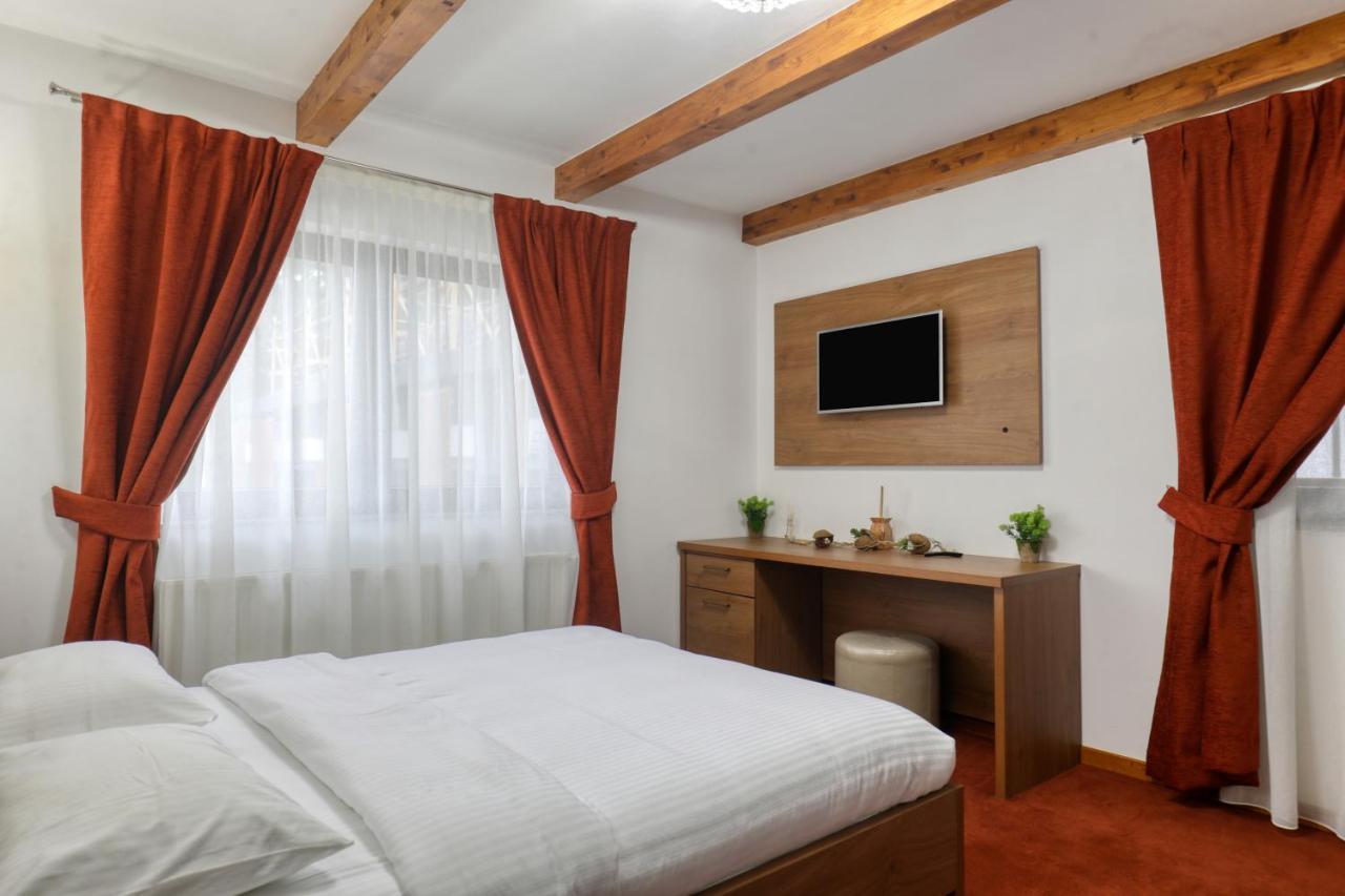 Hotel Ivascu 莫伊塞 外观 照片