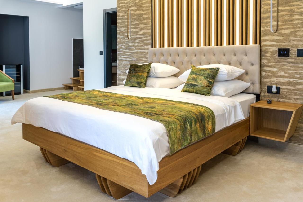 Hotel Ivascu 莫伊塞 外观 照片