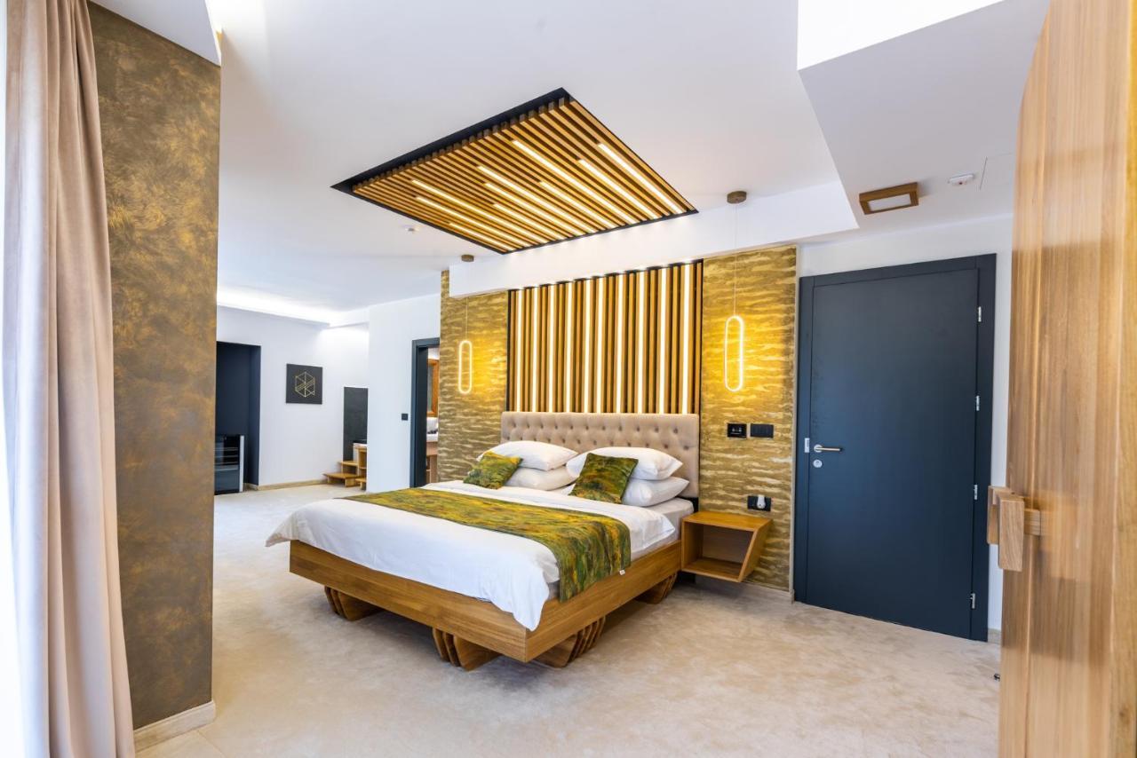 Hotel Ivascu 莫伊塞 外观 照片