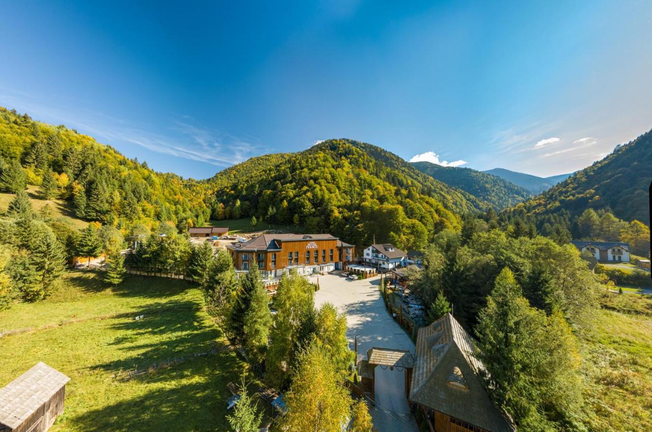 Hotel Ivascu 莫伊塞 外观 照片