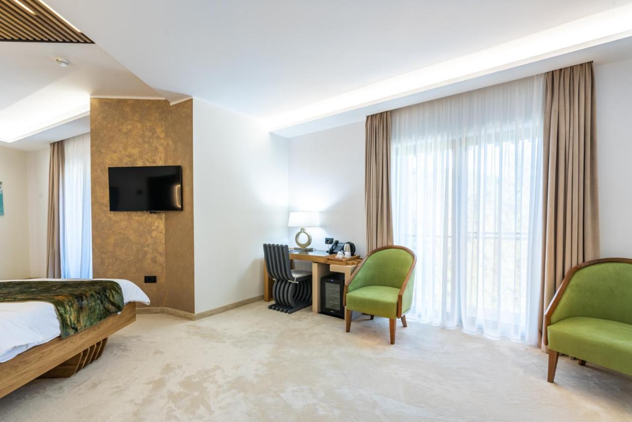 Hotel Ivascu 莫伊塞 外观 照片