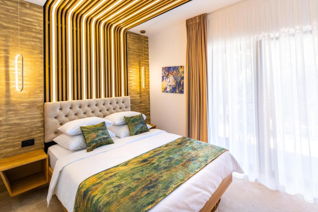 Hotel Ivascu 莫伊塞 外观 照片